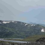 DSC_0914_01 (July 21, 2021)