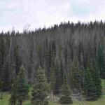 DSC_0925_01 (July 21, 2021)