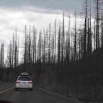 DSC_0926_01 (July 21, 2021)