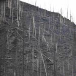 DSC_0929_01 (July 21, 2021)