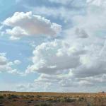 DSC_0936_01 (July 22, 2021)