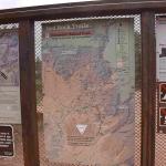 DSC_0948_01 (July 23, 2021)