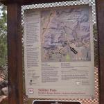 DSC_0949_01 (July 23, 2021)