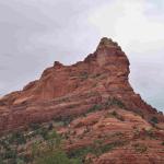 DSC_0951_01 (July 23, 2021)