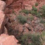 DSC_0958_01 (July 23, 2021)