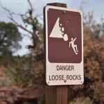 DSC_0964_01 (July 23, 2021)