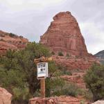 DSC_0965_01 (July 23, 2021)