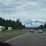 DSC_0981_01 (July 24, 2021)