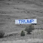 DSC_0983_01 (July 24, 2021)