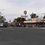 DSC_0984_01 (July 24, 2021)