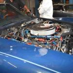 DSC_0082_01 (September 18, 2021)