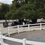 DSC_0032_01 (April 25, 2021)