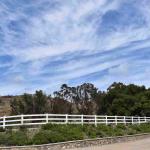 DSC_0054_01 (April 25, 2021)