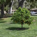 DSC_0055_01 (April 25, 2021)