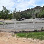 DSC_0056_01 (April 25, 2021)