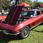 DSC_0027_01 (August 01, 2021)