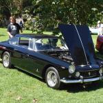 DSC_0060_01 (August 01, 2021)