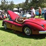 DSC_0079_01 (August 01, 2021)