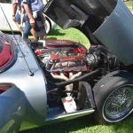 DSC_0083_01 (August 01, 2021)