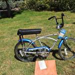 DSC_0087_01 (August 01, 2021)