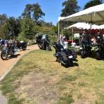 DSC_0092_01 (August 01, 2021)