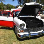 DSC_0106_01 (August 01, 2021)