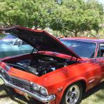 DSC_0130_01 (August 01, 2021)