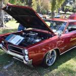 DSC_0131_01 (August 01, 2021)