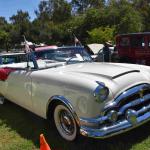 DSC_0156_01 (August 01, 2021)