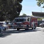 DSC_0181_01 (August 01, 2021)