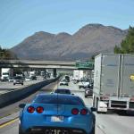 DSC_0022_00008 (November 03, 2022)