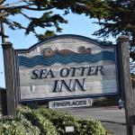 DSC_0048_00021 (November 03, 2022)