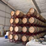 DSC_0073_00036 (November 04, 2022)