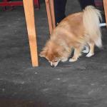 DSC_0081_00042 (November 04, 2022)