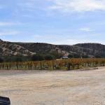 DSC_0082_00043 (November 04, 2022)