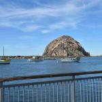 DSC_0112_00064 (November 05, 2022)