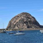 DSC_0117_00068 (November 05, 2022)