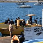 DSC_0119_00069 (November 05, 2022)