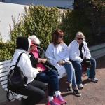 DSC_0120_00070 (November 05, 2022)