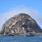 DSC_0121_00071 (November 05, 2022)