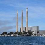 DSC_0122_00072 (November 05, 2022)