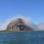 DSC_0126_00075 (November 05, 2022)