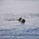 DSC_0128_00076 (November 05, 2022)