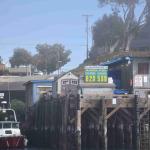 DSC_0129_00077 (November 05, 2022)