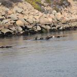 DSC_0138_00079 (November 05, 2022)