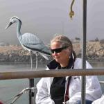 DSC_0146_00080 (November 05, 2022)