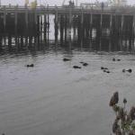 DSC_0151_00083 (November 05, 2022)