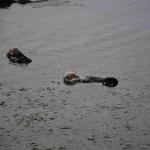 DSC_0154_00086 (November 05, 2022)