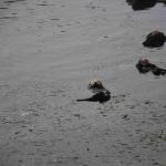 DSC_0155_00087 (November 05, 2022)