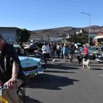 DSC_0161_00090 (November 05, 2022)